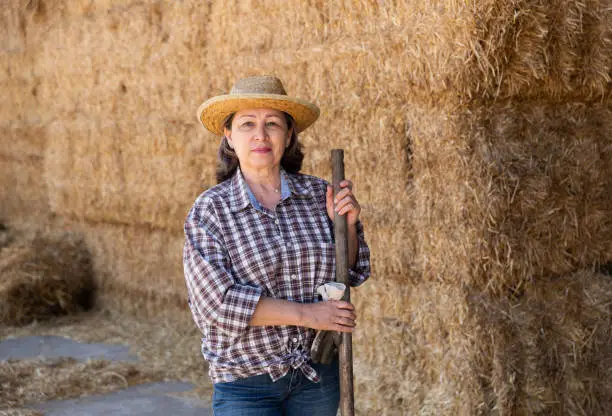 Portrait of an elderly confident woman farmer, standing near the haystacks, holding a pitchfork in her hand. Close-up 
portrait