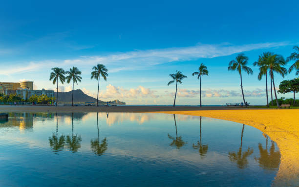 Morning at Waikiki Beach in Hawaii Morning at Waikiki Beach in Hawaii waikiki stock pictures, royalty-free photos & images