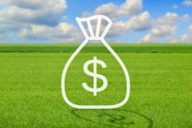 Bag with dollar sign icon over summer meadow and clear blue sky, creative image for opportunities in agricultural business. Farming, gardening, agriculture, agribusiness nowadays cocnept