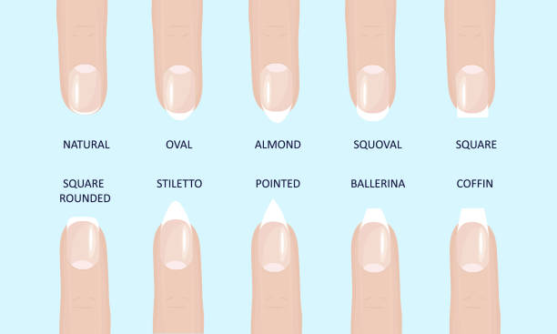 ilustraciones, imágenes clip art, dibujos animados e iconos de stock de manicura moda más popular formas de uñas de estilo plano vector ilustración conjunto aislado fondo azul claro. - pointed toe