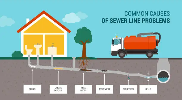 Vector illustration of Common causes of sewer line problems