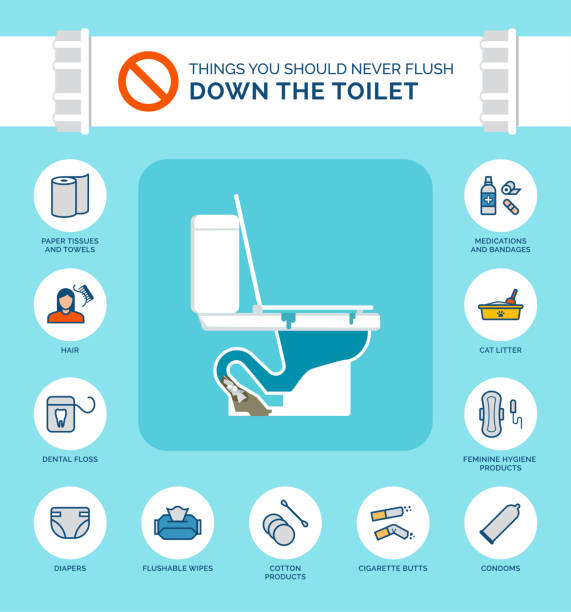 Things you should never flush down the toilet Things you should never flush down the toilet infographic, how to prevent clogs in your drain clogged stock illustrations
