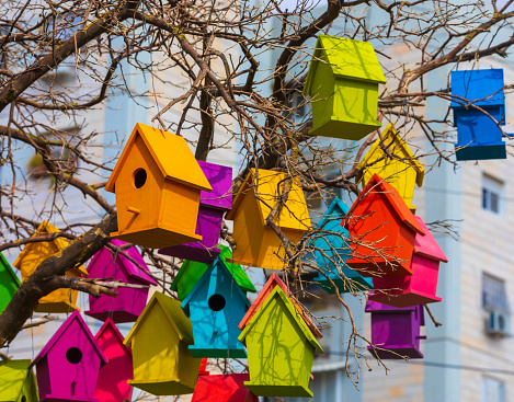 Big group of colored birdhouses on a dry tree at city