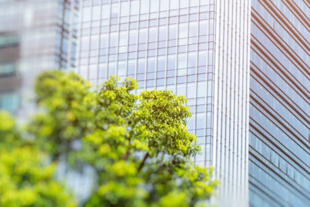 istock Details of a modern office building with a tree 1326404720