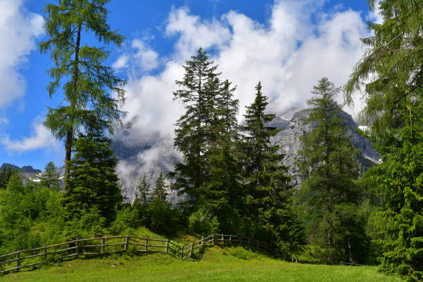 istock Beautiful landscape in Stubai valley 1326404801
