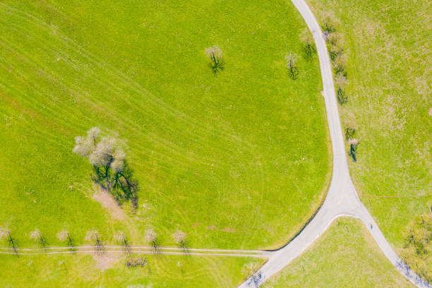 istock Field, trees and road. Aerial view. 1326409570