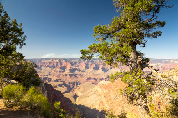 istock The Grand Canyon 1326409660