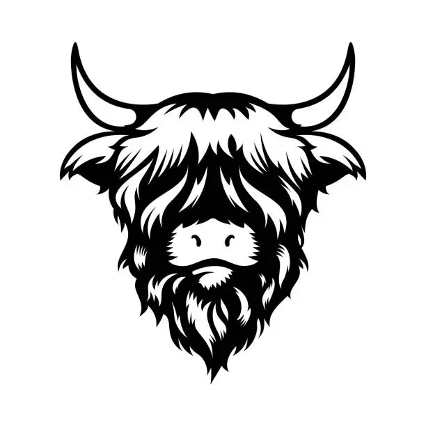 Vector illustration of Highland cow head design on white background. Farm Animal. Cows logos or icons. vector illustration.