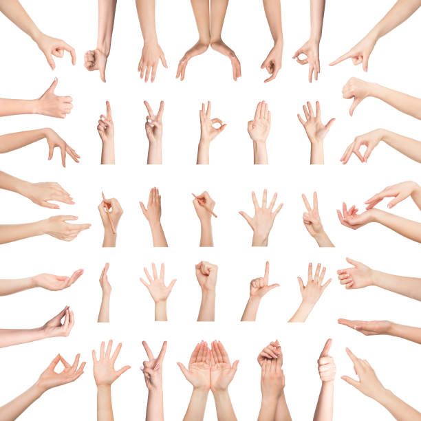 istock Collection of female hands gesturing on white background 1326419756