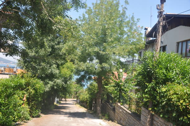 istock A road way to some ways 1326420593