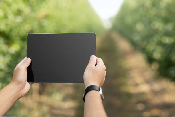 istock Photo and video for blog, work on modern smart farm 1326421792