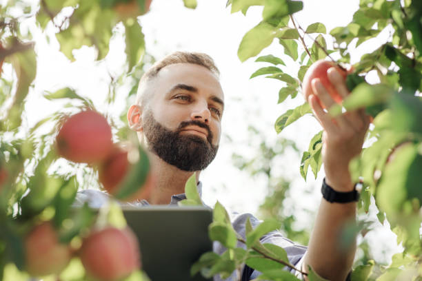 istock Social media, internet, mobile app for check crop and modern eco blog 1326422260