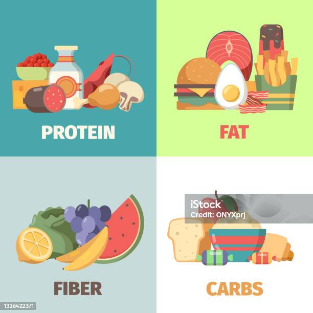  Ilustración de Nutrición Alimentaria Proteínas Grasas Carbohidratos Fibra Productos Para La Salud Para La Nutrición De