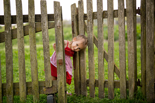 A little girl looks out from behind an old village fence with a gate in the backyard. A girl in a red dress. The gate leading to the garden.