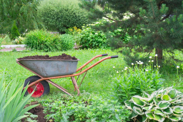 istock Weelnarrow in garden 1326430533