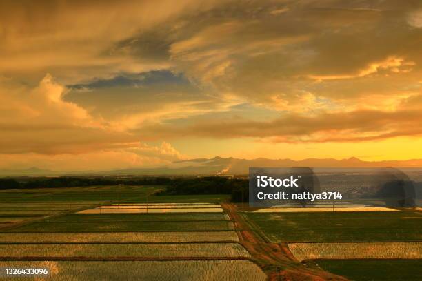 Ruins Of The Sunset Stock Photo - Download Image Now - Iwate Prefecture, Landscape - Scenery, Nature