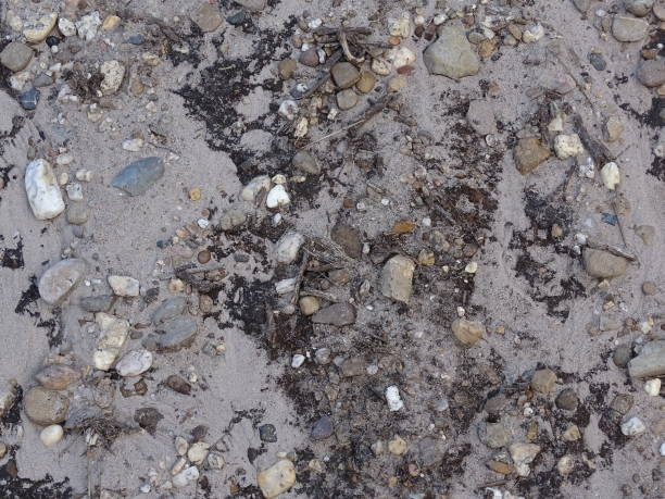 istock sand with stones after a rain shower, grey, white, blue and yellow 1326433179