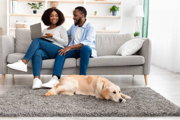 istock Black couple at home using laptop sitting with dog 1326437389