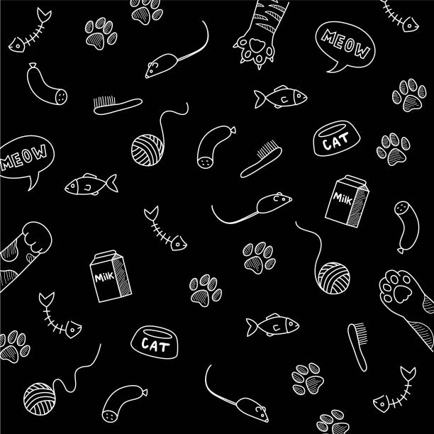 Сollection of cat's accessories chalk drawn on blackboard Cat stuff pattern with different objects that cats love in lines on a black background pet toy stock illustrations