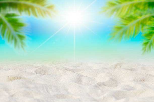 istock Summer vacation white sand beach with space for text coconut leaves rear frame sea view energetic floor 1326439028