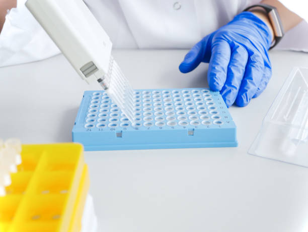 istock hands of scientist working with multichannel pipette and multi well plates. research technician with multipipette in genetic laboratory. genetic and cancer screening, medical technology and therapy. 1326441011