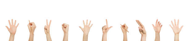 istock Closeup of ladies hands over white background 1326443319