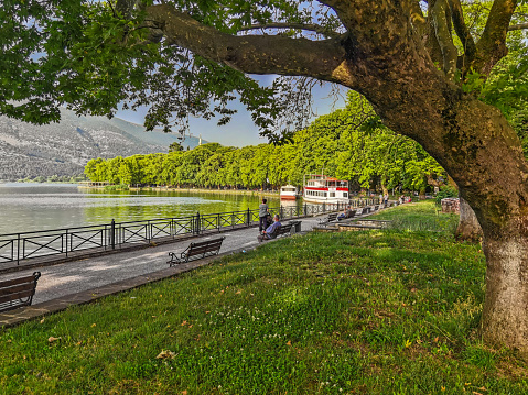 ioannina city in the summer trees by the lake pamvotis greece  in summer