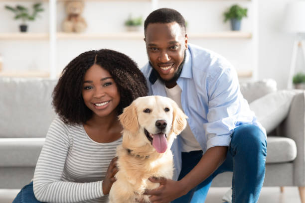 istock Black couple spending time at home with labrador 1326443830