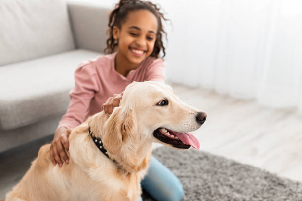 istock Young black girl having fun with dog at home 1326446321