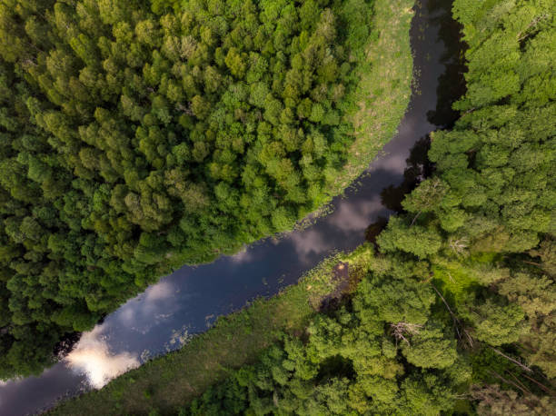 istock beautiful landscape with a small meandering river (aerial view) 1326446342