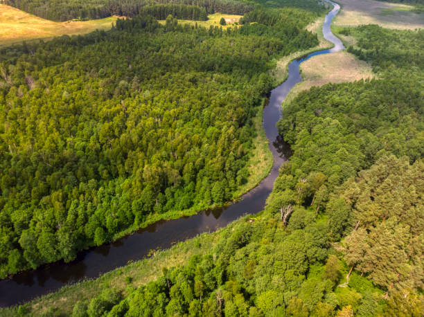 istock beautiful landscape with a small meandering river (aerial view) 1326446346