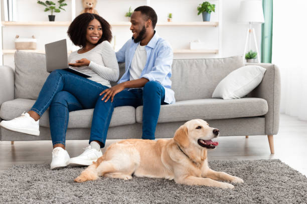 istock Black couple at home using laptop sitting with dog 1326446616