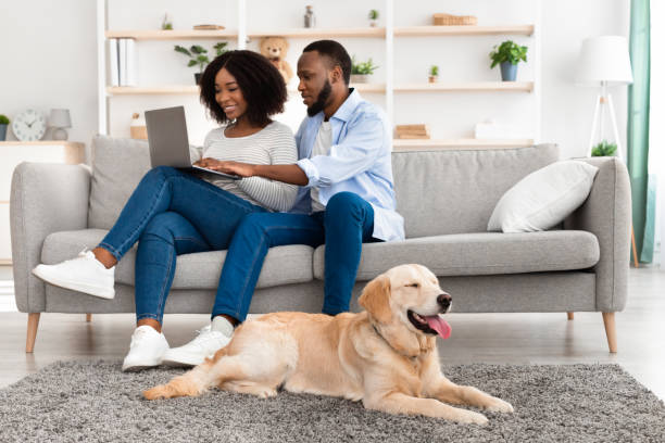 istock Black couple at home using laptop sitting with labrador 1326448105