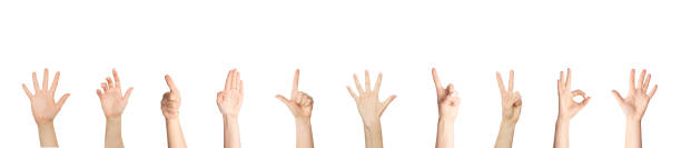istock Collection of ladies hands gesturing over white background 1326448182