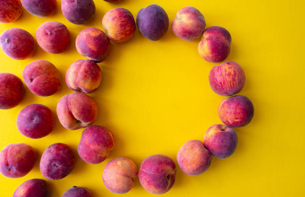ripe peaches laid out in a circle and a lot of peaches on the left side, yellow background