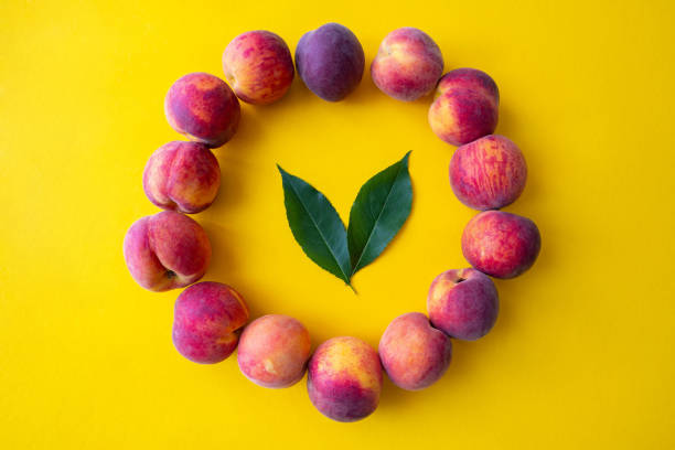 ripe peaches laid out in a circle and two leaves in the middle, yellow background