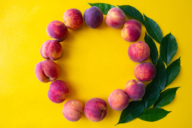 ripe peaches laid out in a circle and decorated with green foliage, close-up
