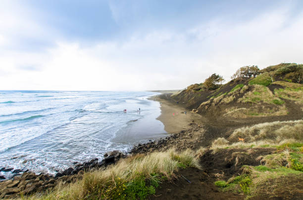 무리와이 지역 공원에 위치한 무리와이 비치는 오클랜드, 뉴질랜드의 노스 아일랜드의 서해안에 있습니다. - murawai beach 뉴스 사진 이미지