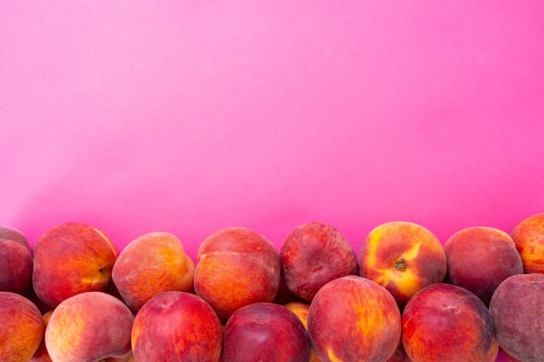 ripe peaches from below pink background, close-up