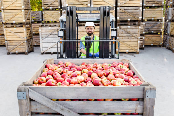 istock Transport for load goods, work at warehouse, delivery and distribution 1326452827