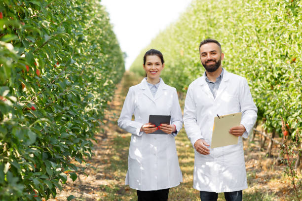 Agronomists check orchard and organic cultivation at summer