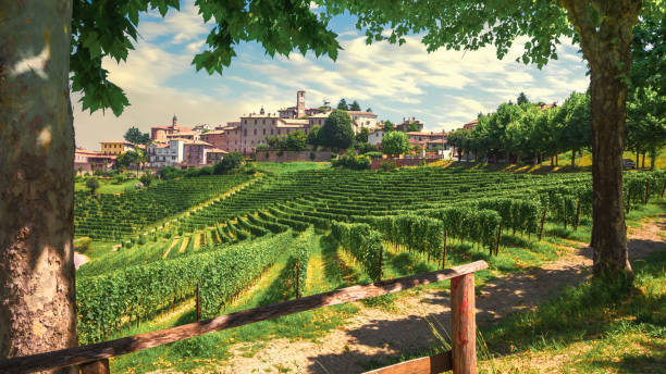 Neive village and Langhe vineyards, Unesco Site, Piedmont, Northern Italy Europe Neive village and Langhe vineyards, Unesco Site, Piedmont, Northern Italy Europe. High quality photo alba italy photos stock pictures, royalty-free photos & images
