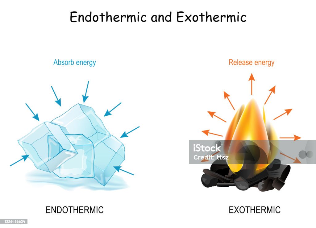Exotherme Und Endotherme Reaktion: Beispiele Endothermic And Exothermic Chemical Reactions Stockvectorkunst en meer