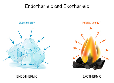 Endothermic and Exothermic chemical reactions. Cold cubes of ice Absorb energy, and hot fire releases energy. Poster for Distance Learning of chemistry and physics