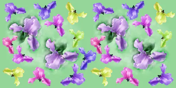 Seamless pattern of multi-colored spring flowers-irises, on a green background