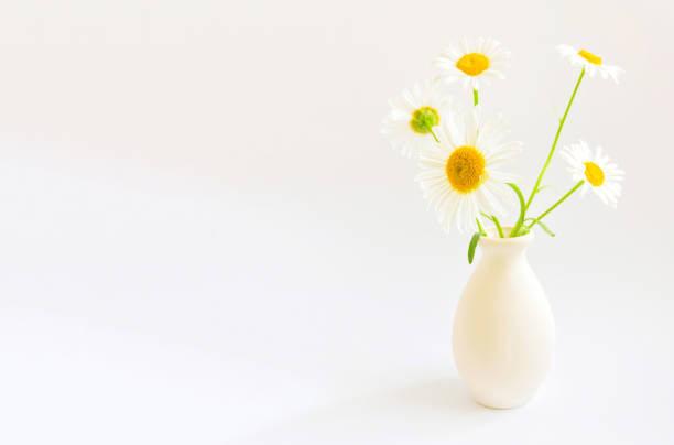 istock Flowers composition. Frame made of white chamomile flowers on white background. Wedding day, mothers day and womens day concept. Flat lay, top view. 1326459720