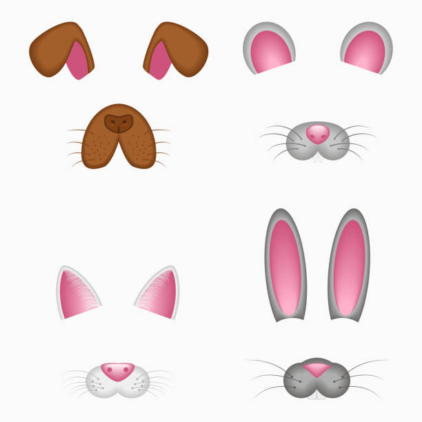 ilustrações de stock, clip art, desenhos animados e ícones de animal face elements - ears and nose. dog, mouse, cat, bunny, rabbit or hare. selfie photo and video chart filter with cartoon animals mask. vector - animal nose