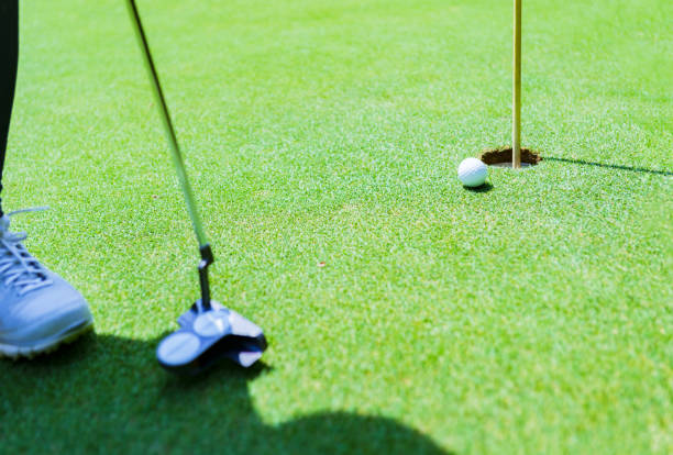 putter und golfball auf dem grün - golf putting golf course golf club stock-fotos und bilder