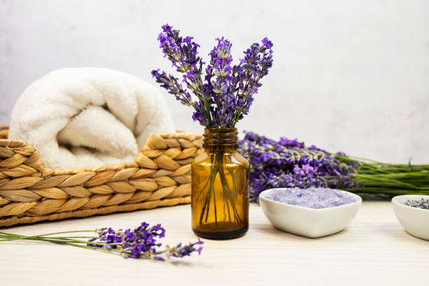 Spa treatment set with fresh lavender flowers.
