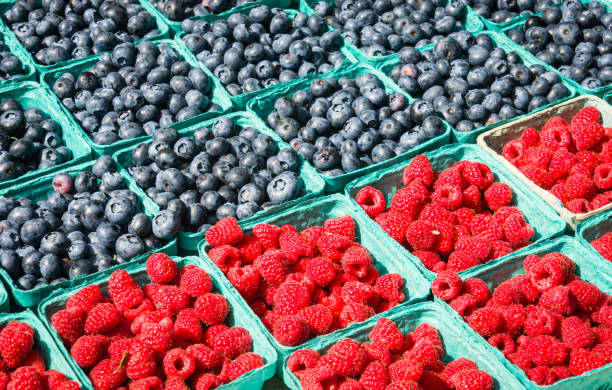 Blue paper boxes of freshly picked blueberries and raspberries on display at a Cape Cod farmers market.